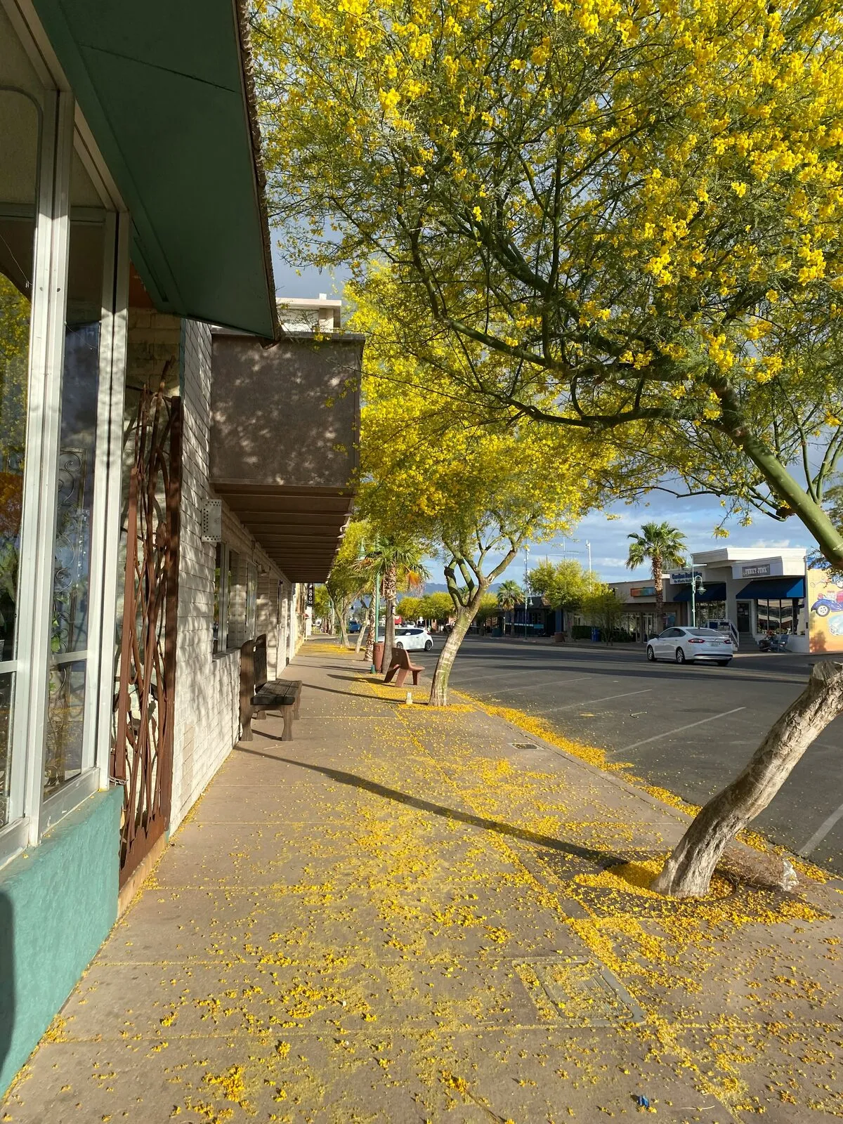 Illustrative stock photo — a Lake Havasu City street with palo verde trees in bloom; not an actual Lake Havasu AC Guide job site.